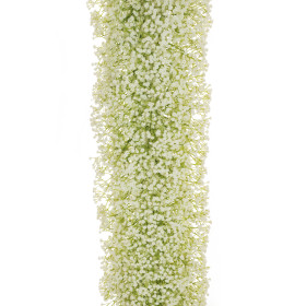 GYPSOPHILE GEANT