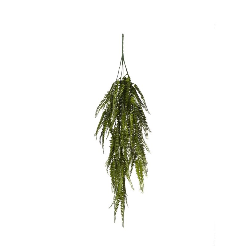 HANGING FERN