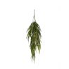 HANGING FERN