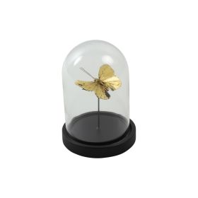 1 PAPILLONS SOUS CLOCHE EN VERRE INDRA