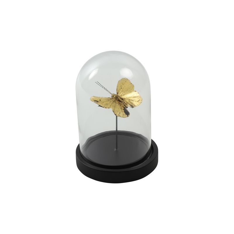 1 PAPILLONS SOUS CLOCHE EN VERRE INDRA