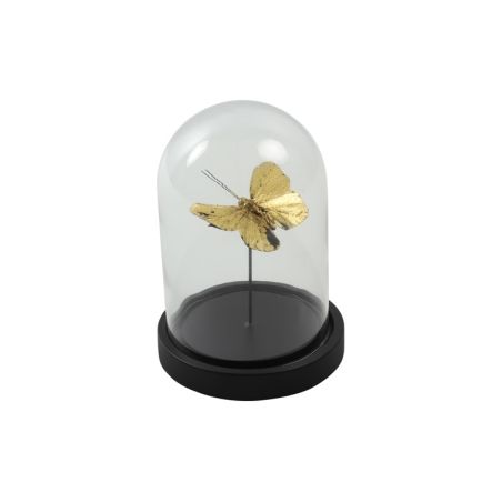 1 PAPILLONS SOUS CLOCHE EN VERRE INDRA