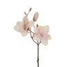 BRANCHE MAGNOLIA PINK