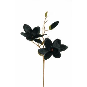 BRANCHE MAGNOLIA NOIR