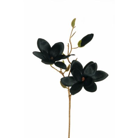 BRANCHE MAGNOLIA NOIR