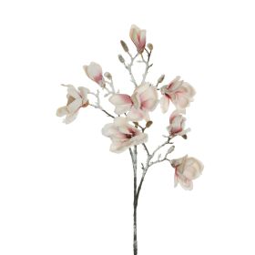 BRANCHE DE MAGNOLIA ROSE