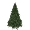 SAPIN VERT