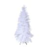 SAPIN PAMPAS BLANC