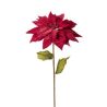 TIGE DE POINSETTIA VELOURS ROUGE