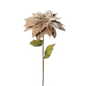 POINSETTIA VELOURS BRONZE