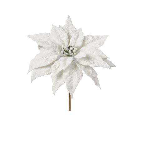 POINSETTIA VELOURS BLANCHE