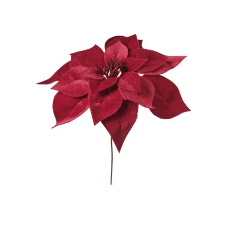 PIQUE DE POINSETTIA