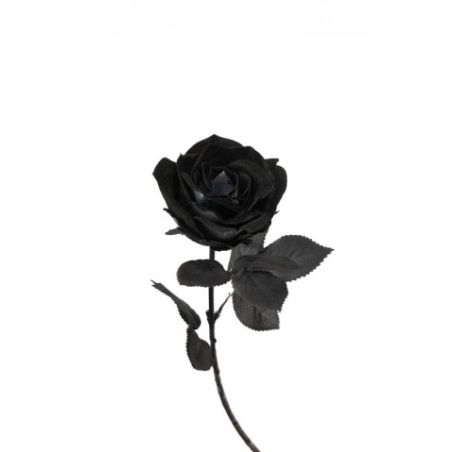 TIGE ROSE NOIRE LUXE HALLOWEEN