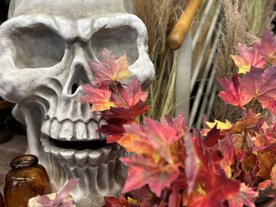 Comment réussir vos décorations d’Halloween pour vos événements professionnels 